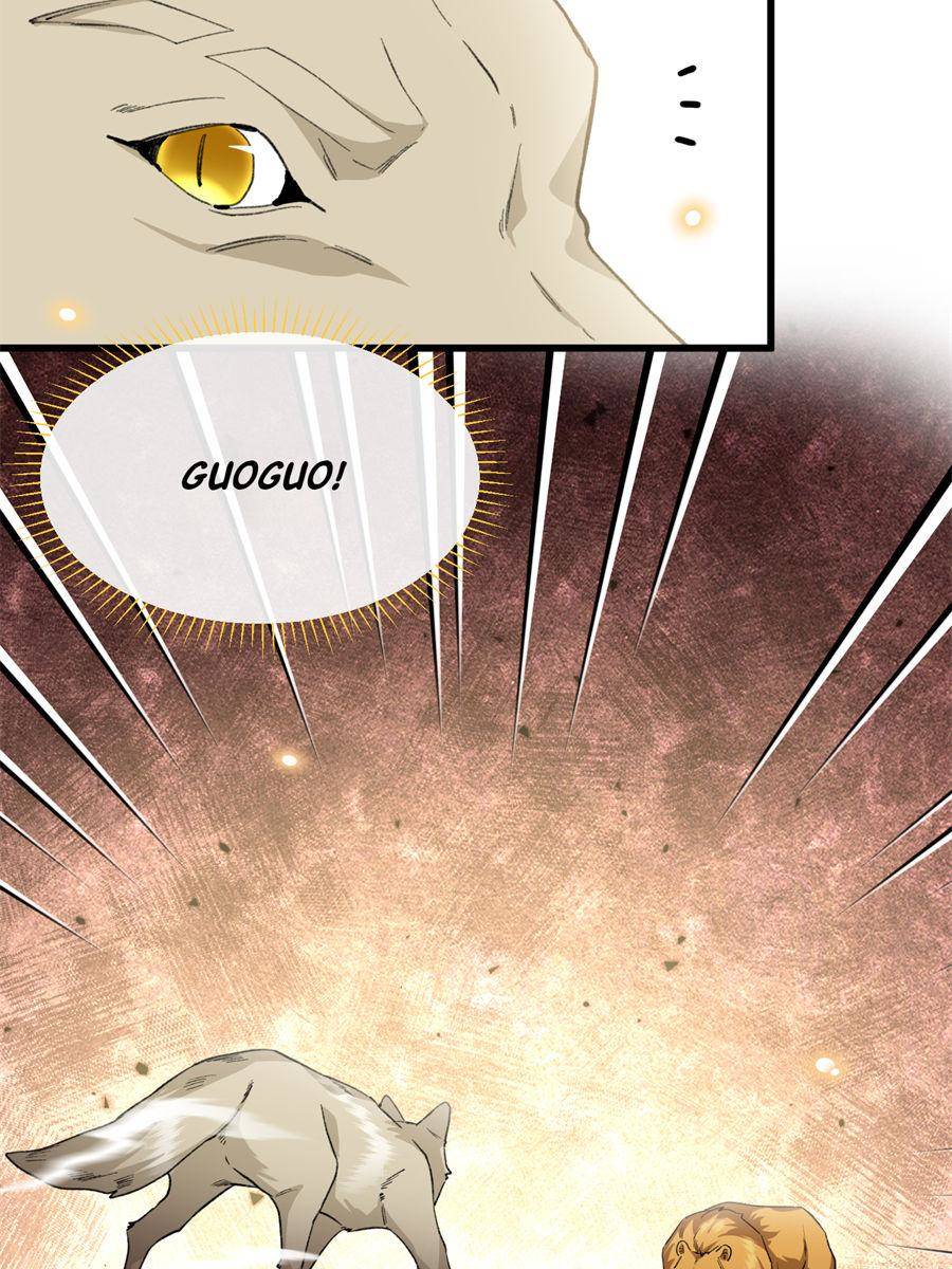 81490519 900 1200 188699